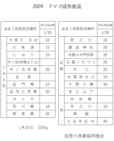 スクリーンショット (817)