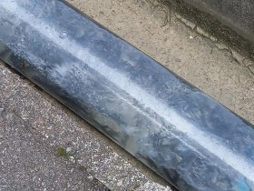 本日放流の鮎