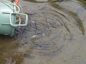 トリム公園
