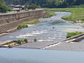 舟形橋より下流