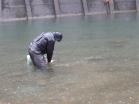 C＆R区間有志　放流追加