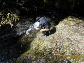 2026.4.25　アマゴ稚魚放流