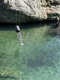 2026.4.25　アマゴ稚魚放流